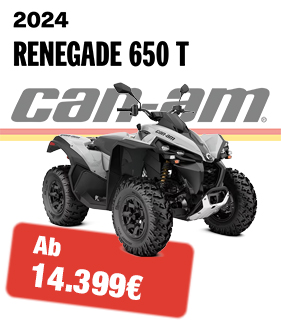 Can-Am 2024 Renegade 650 T